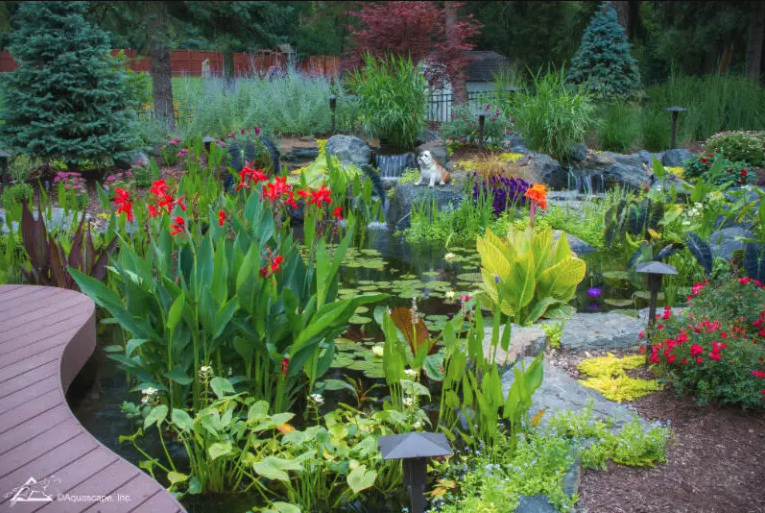 Pond Ecosystem